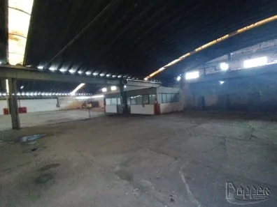 Galpão/Depósito/Armazém para alugar, 10830m² no Santo Afonso, Novo Hamburgo