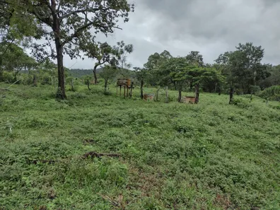 Lote/Terreno à venda, 20000m² no , Fortuna de Minas