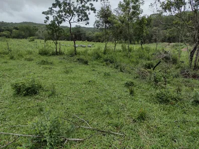 Lote/Terreno à venda, 20000m² no , Fortuna de Minas