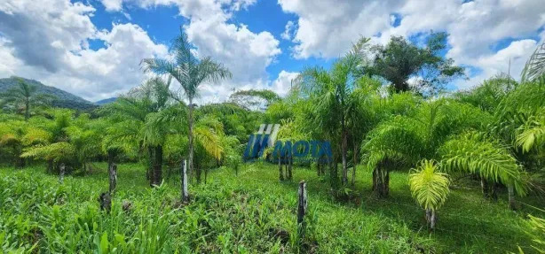 Fazenda/Sítio com 3 Quartos à venda, 300m² no Rio do Cedro, Antonina