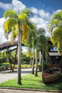 Lote/Terreno à venda, 648m² no , Belmonte