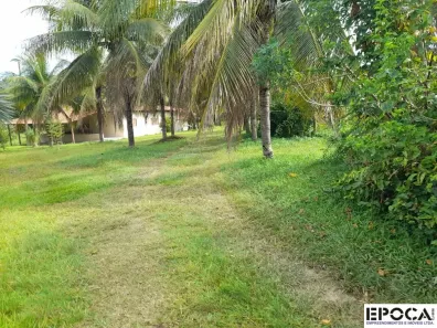 Fazenda/Sítio com 3 Quartos à venda, 130m² no Goiás, Goiás