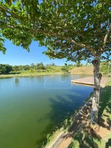 Fazenda/Sítio com 3 Quartos à venda, 100000m² no , Garça