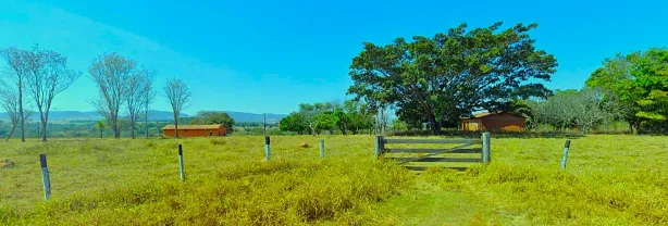Fazenda/Sítio com 4 Quartos à venda, 145200m² no , Goiás