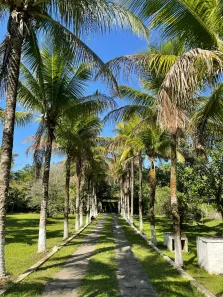 Fazenda/Sítio à venda, 5000m² no Sampaio Correia (Sampaio Correia), Saquarema