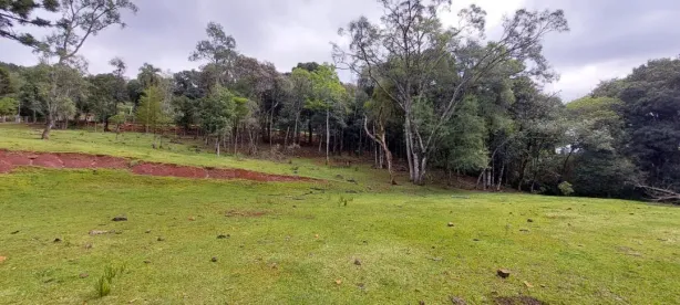 Lote/Terreno à venda, 22000m² no , Nova Petrópolis