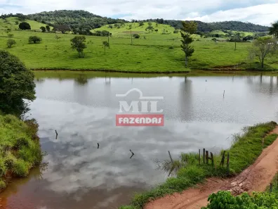 Fazenda/Sítio à venda, 500m² no Vila Santa Terezinha, Inhumas