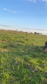 Lote/Terreno à venda, 20000m² no , Cordisburgo