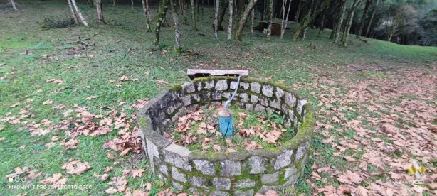 Fazenda/Sítio com 2 Quartos à venda, 90m² no Área Rural de Farroupilha, Farroupilha