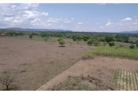 Fazenda/Sítio à venda no , Buritis