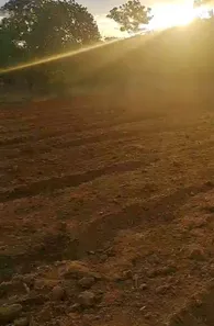 Fazenda/Sítio à venda no , Buritis