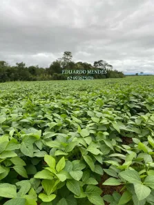 Fazenda/Sítio com 3 Quartos à venda, 2178000m² no , Niquelândia