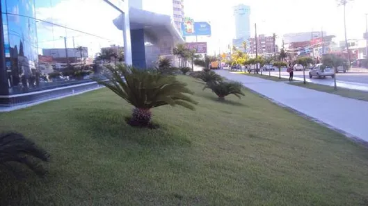 Sala Comercial para alugar, 40m² no Pina, Recife