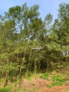 Lote/Terreno à venda, 31235m² no Centro, Presidente Lucena