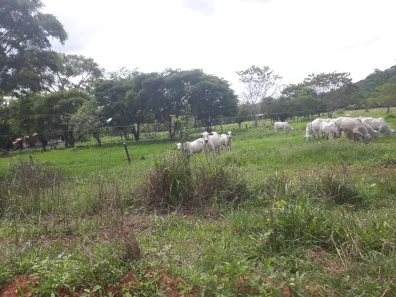 Lote/Terreno à venda, 20000m² no , Araçaí