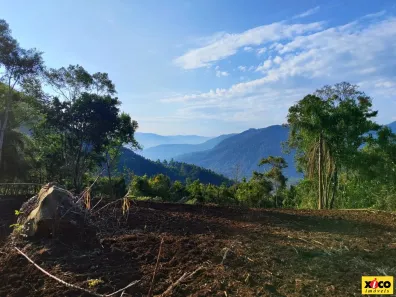 Lote/Terreno à venda, 23196m² no , Nova Petrópolis