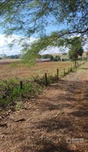 Lote/Terreno para venda ou aluguel, 10000m² no Br-376, Marialva