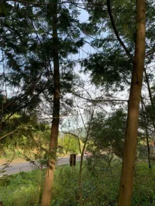 Lote/Terreno à venda, 31235m² no Centro, Presidente Lucena