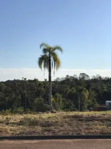 Lote/Terreno à venda, 327m² no João Alves, Santa Cruz do Sul