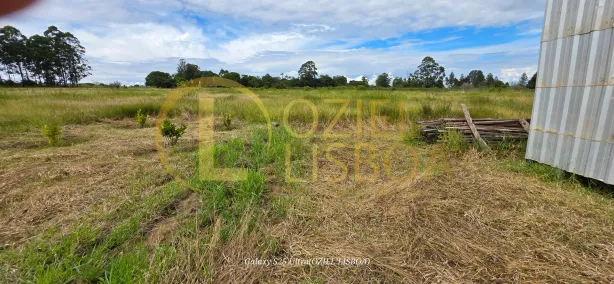 Fazenda/Sítio com 1 Quarto à venda, 20000m² no Brazlândia, Brasília
