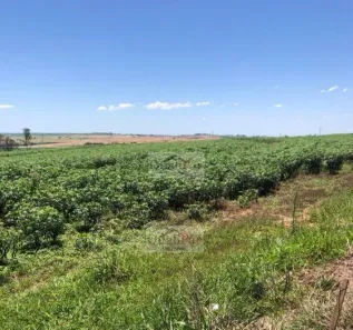 Fazenda/Sítio à venda, 6320000m² no Centro, Echaporã
