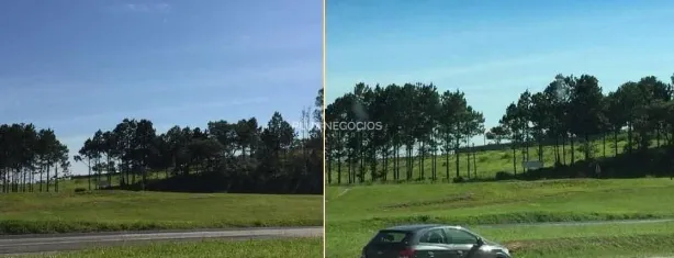 Lote/Terreno para venda ou aluguel, 10900m² no Vila Artura, Sorocaba