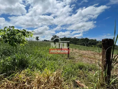 Fazenda/Sítio à venda, 173200m² no , Terezópolis de Goiás