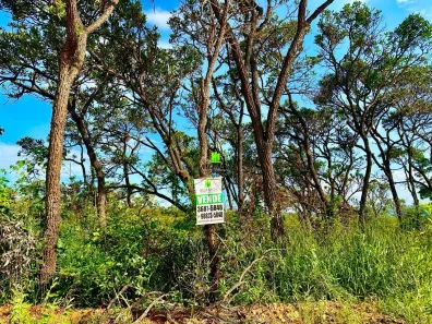 Lote/Terreno à venda, 572m² no Pomar da Lagoa, Lagoa Santa