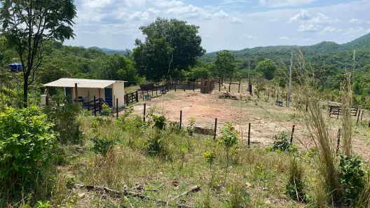Fazenda/Sítio à venda, 338800m² no , Goiás