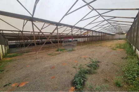 para alugar, 2000m² no , Artur Nogueira