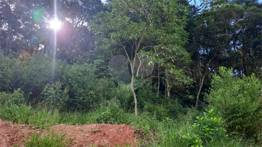 Foto 1 de Lote/Terreno à venda, 4200m² em Terra Preta Terra Preta, Mairiporã