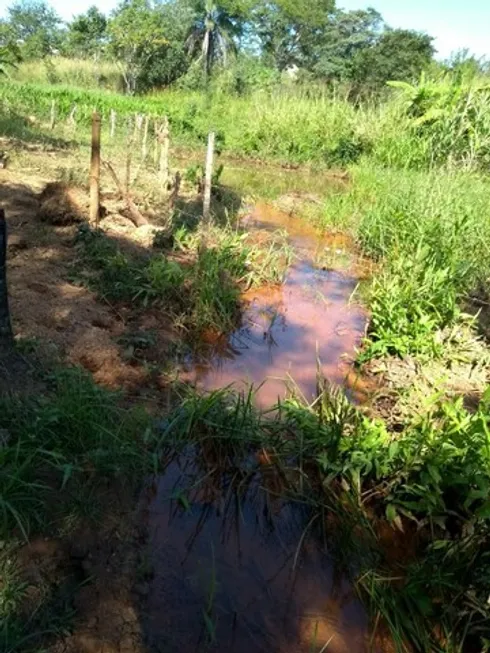 Foto 1 de Fazenda/Sítio com 2 Quartos à venda, 80000m² em Centro, Santana de Pirapama