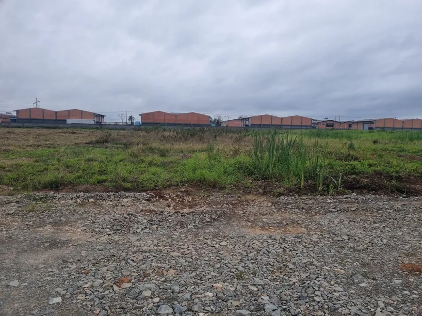 Foto 1 de Lote/Terreno à venda, 1000m² em Porto Grande, Araquari