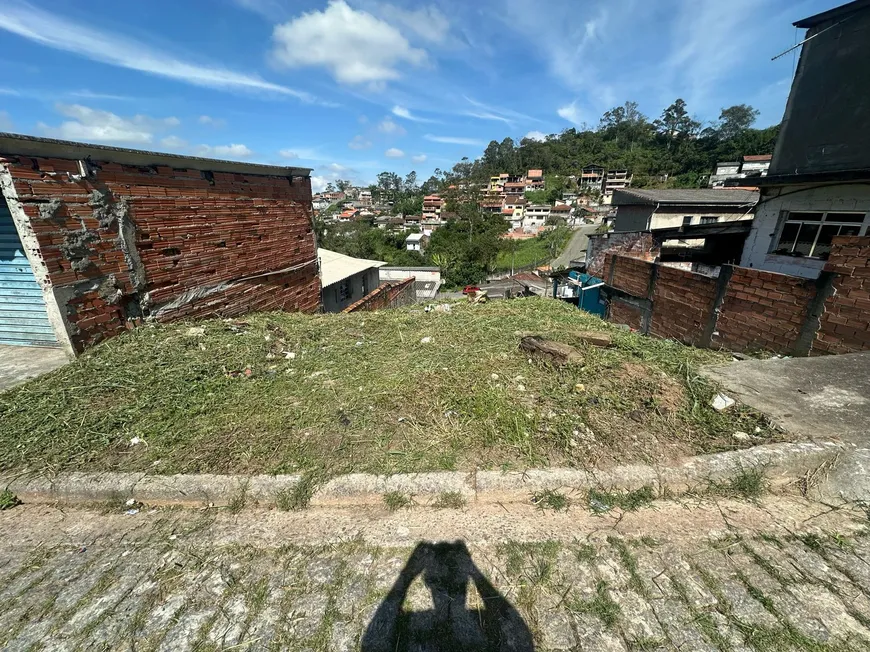 Foto 1 de Lote/Terreno à venda, 300m² em Santa Luzia, Ribeirão Pires