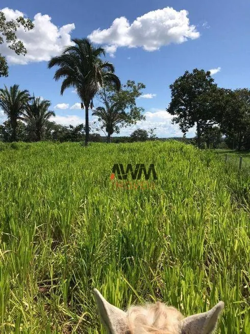 Foto 1 de Fazenda/Sítio à venda, 121000m² em , Itapirapuã