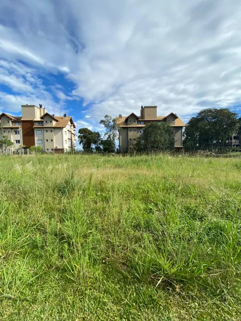 Foto 1 de Lote/Terreno à venda, 483m² em Carazal, Gramado