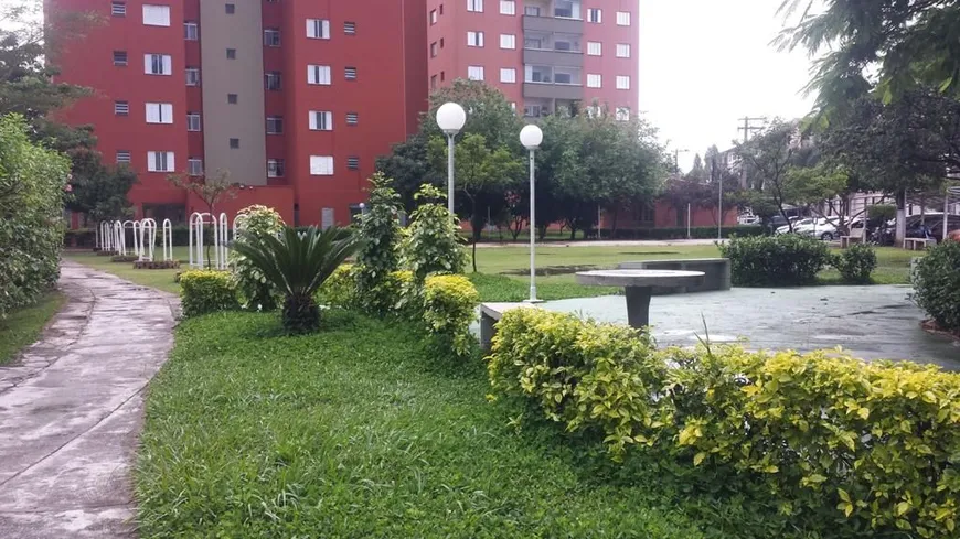 Foto 1 de Apartamento com 3 Quartos à venda, 72m² em Piratininga, Osasco