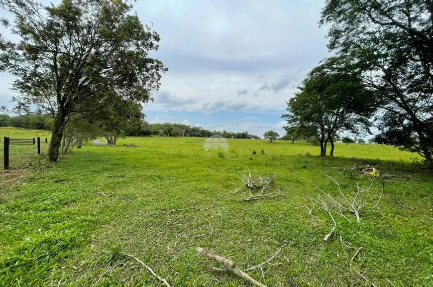 Foto 1 de Fazenda/Sítio à venda, 23000m² em Zona Rural, Pato Branco