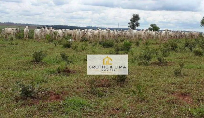 Foto 1 de Fazenda/Sítio à venda, 2000m² em , Nova Andradina