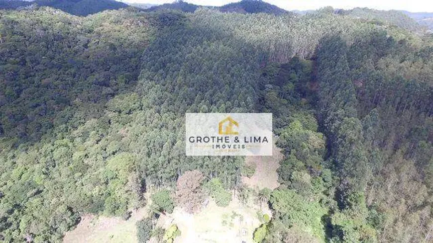 Foto 1 de Fazenda/Sítio com 2 Quartos à venda, 210m² em Espirito Santo, Paraibuna