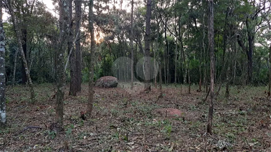 Foto 1 de Lote/Terreno à venda, 1125m² em Roseira, Mairiporã