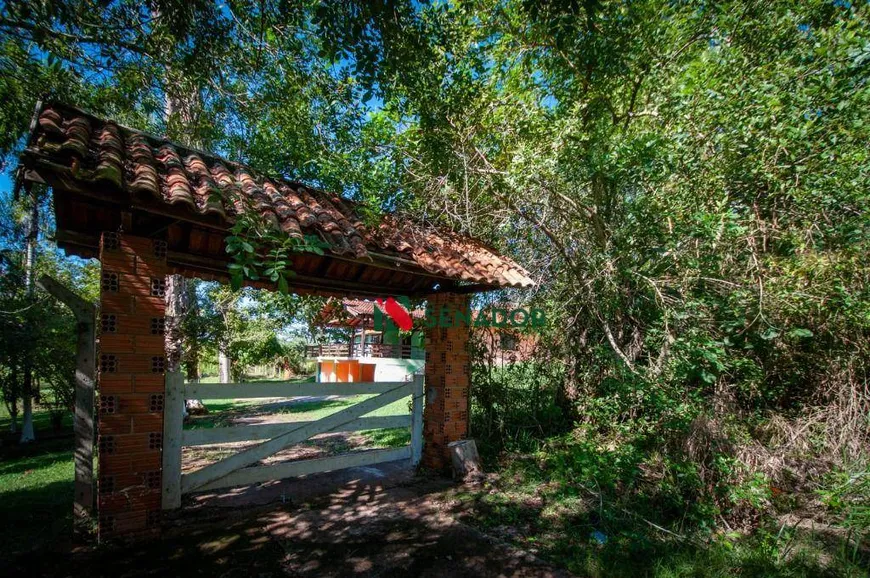 Foto 1 de Fazenda/Sítio com 4 Quartos à venda, 600m² em Limoeiro, Londrina