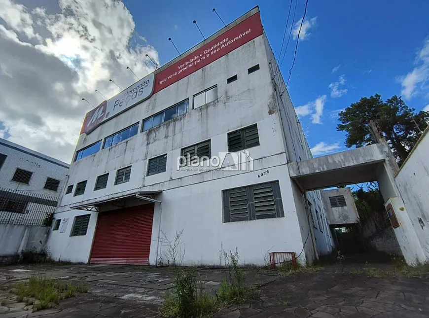 Foto 1 de Ponto Comercial para alugar, 2700m² em Bom Principio, Gravataí