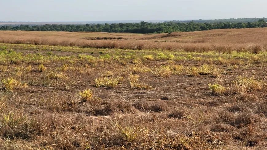 Foto 1 de Fazenda/Sítio à venda, 25650000m² em Zona Rural, Canarana