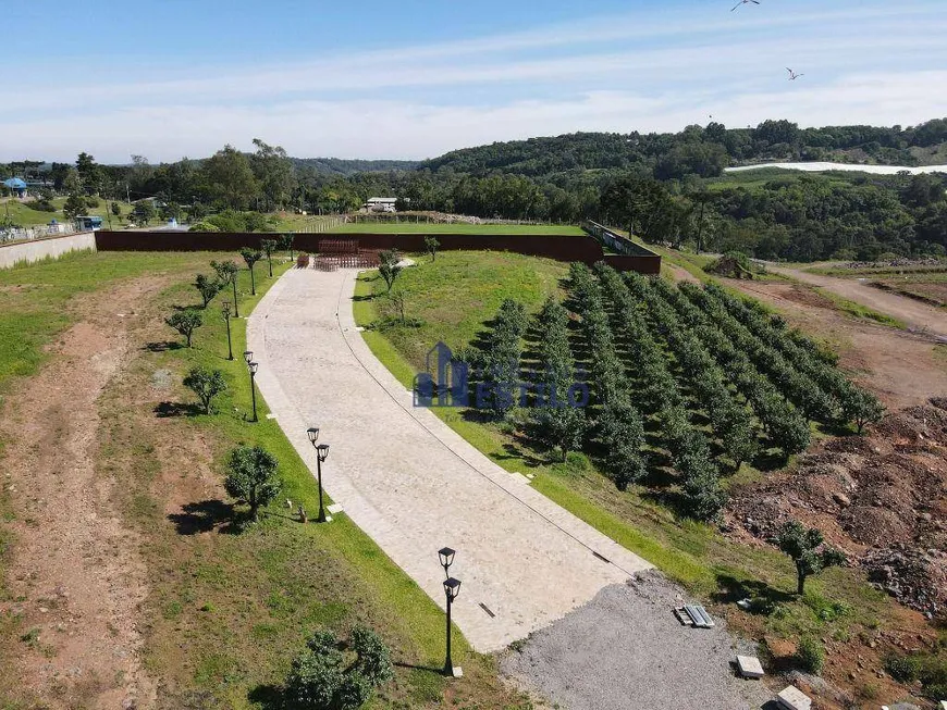 Foto 1 de Lote/Terreno à venda, 433m² em Monte Bérico, Caxias do Sul