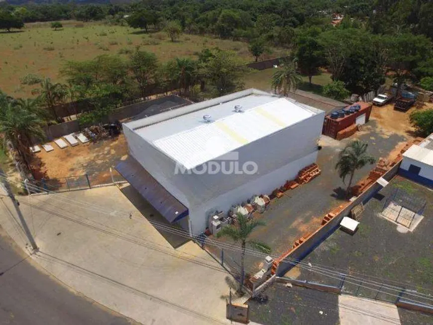 Foto 1 de Galpão/Depósito/Armazém para alugar, 300m² em Jardim Canaã, Uberlândia