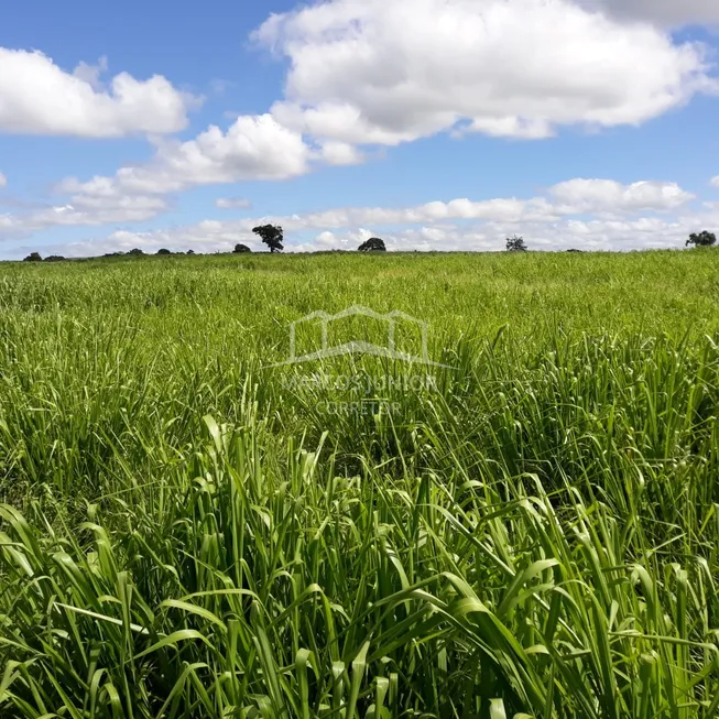 Foto 1 de Fazenda/Sítio com 3 Quartos à venda, 6000000m² em Centro, São João da Ponte