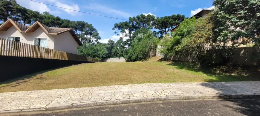 Foto 1 de Lote/Terreno à venda, 1000m² em Butiatuvinha, Curitiba