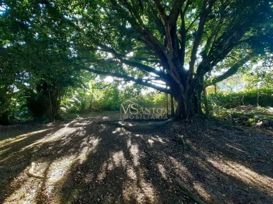 Foto 1 de Lote/Terreno à venda, 1583m² em Cachoeira do Bom Jesus, Florianópolis