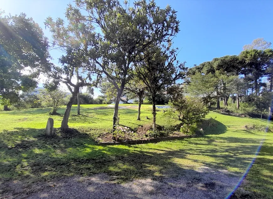 Foto 1 de Lote/Terreno à venda em Monte Bérico, Caxias do Sul